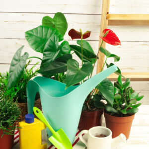 HOME & GARDEN DEALS
